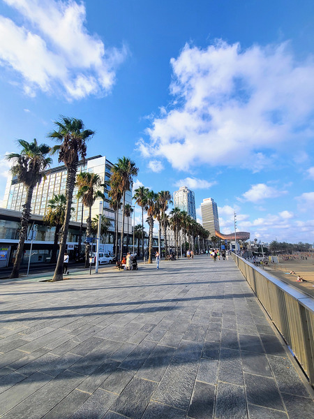 Sun-Kissed Horizons: Barcelona Beach Digital Download