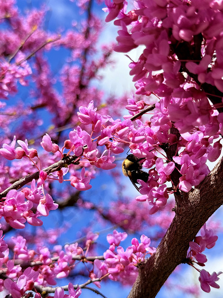 IMG 1577 Téléchargement Numérique