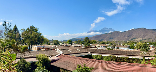 IMG 0093 Digital Download