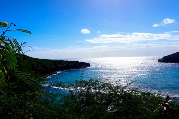 Welcome to Hawaii Téléchargement Numérique