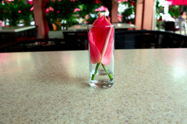 Glass Bloom 3 Téléchargement Numérique