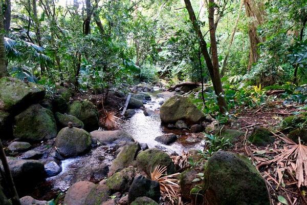 Hiking Hawaii Water Flow B Téléchargement Numérique