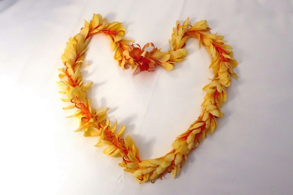 I Got Leid Téléchargement Numérique