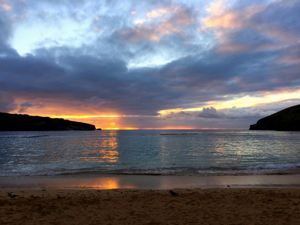 Paradise Found Digital Download