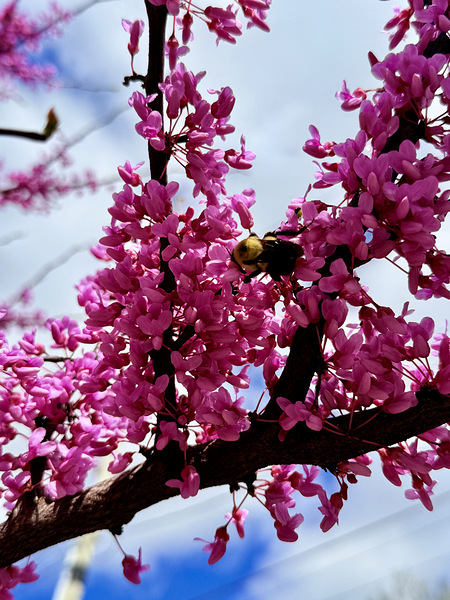 IMG 1528 Téléchargement Numérique