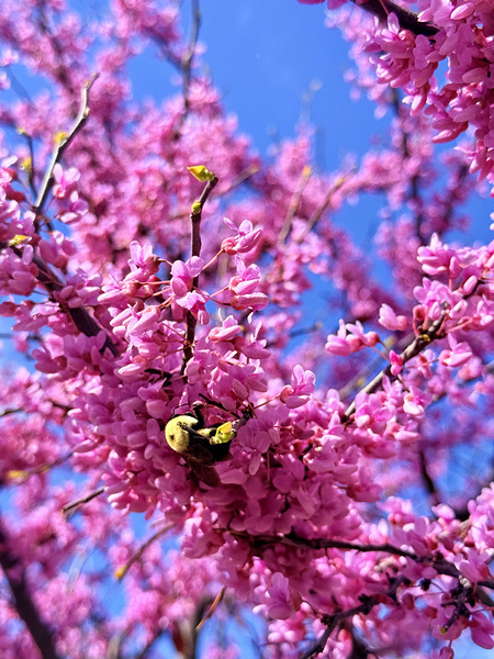 IMG 1620 Téléchargement Numérique