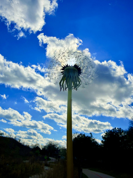 IMG 1755 Digital Download