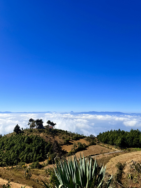 IMG 9129 Téléchargement Numérique