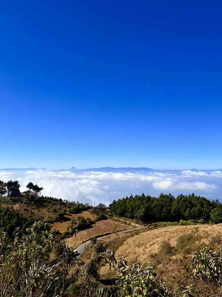 IMG 9128 Digital Download