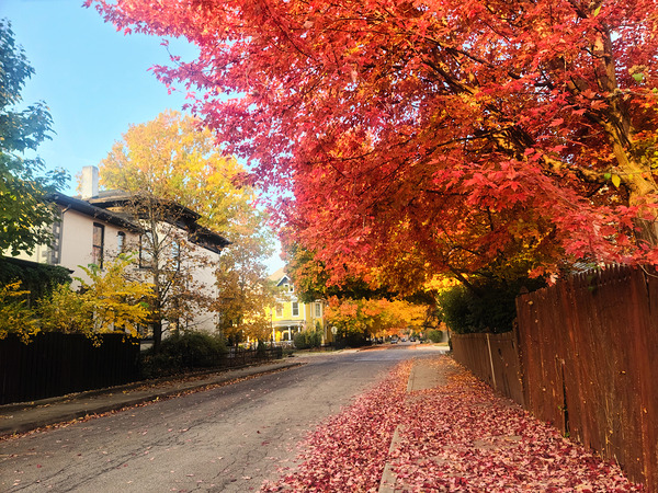 Fall Over the Fence - Autumn’s Embrace  Digital Download