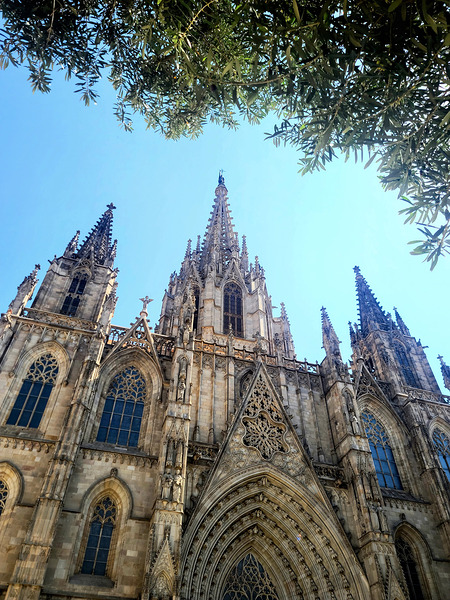 Gothic Roots Olive Crowns: The Cathedral at an Angle of Awe Téléchargement Numérique