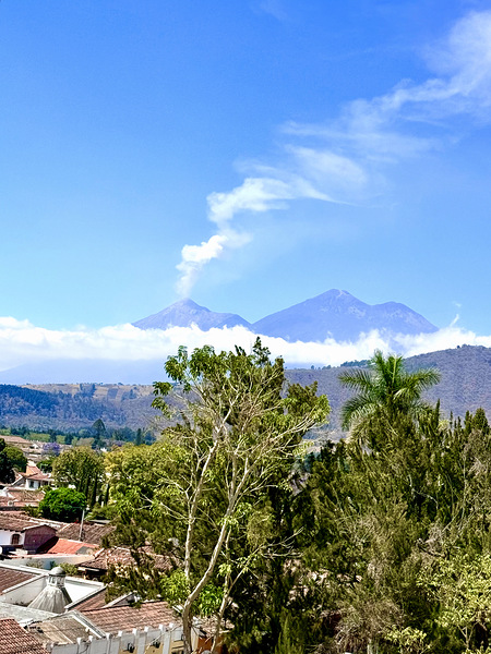 IMG 0148 Téléchargement Numérique