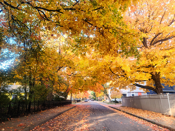 Fall Over the Road Digital Download