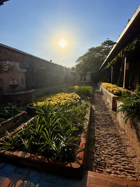 IMG 9939 Téléchargement Numérique