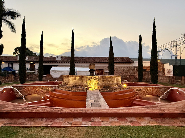 IMG 9984 Digital Download