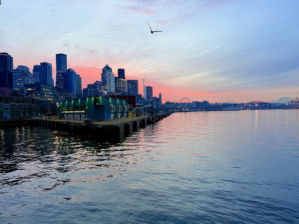 IMG 7329 Digital Download