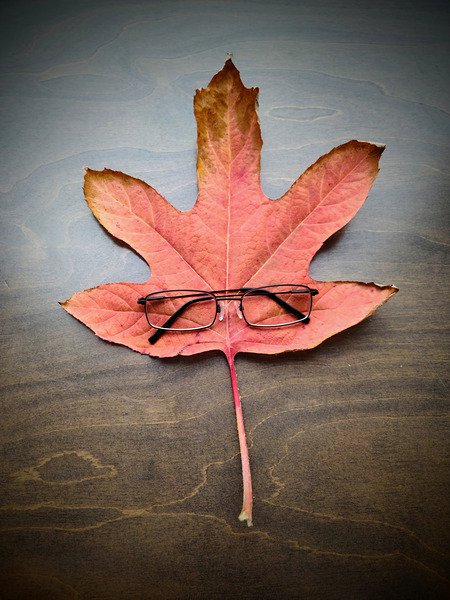 Losing Sight of Fall Digital Download