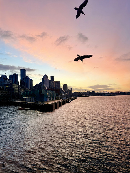 IMG 7958 Téléchargement Numérique