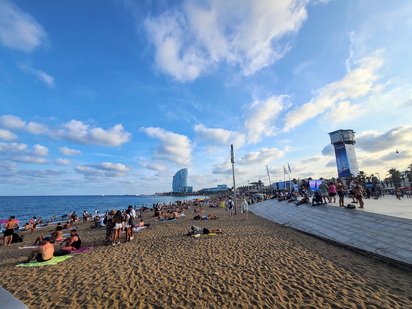 The Soft Chaos of Summer Digital Download