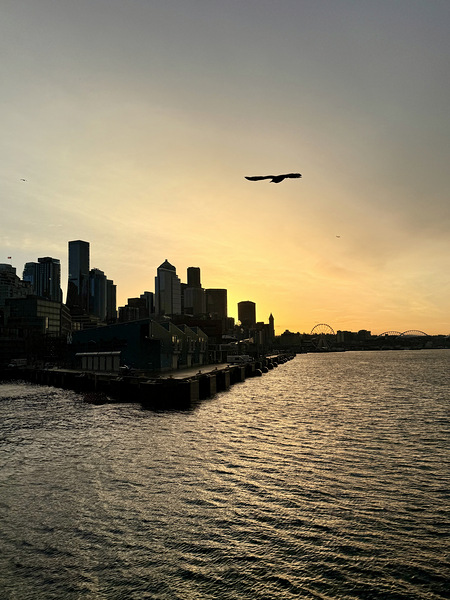 IMG 8007 Digital Download