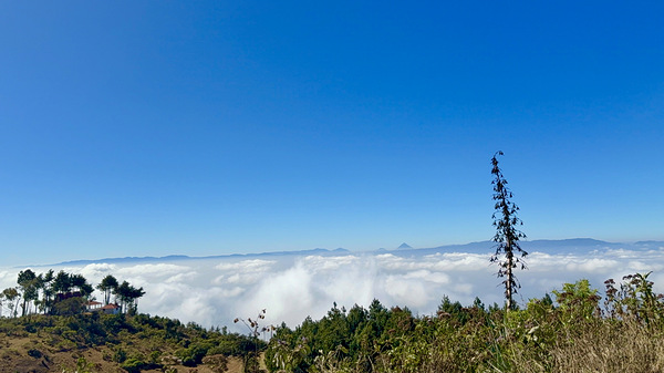 IMG 9119 Digital Download