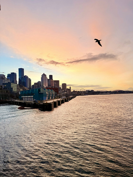 IMG 7980 Digital Download