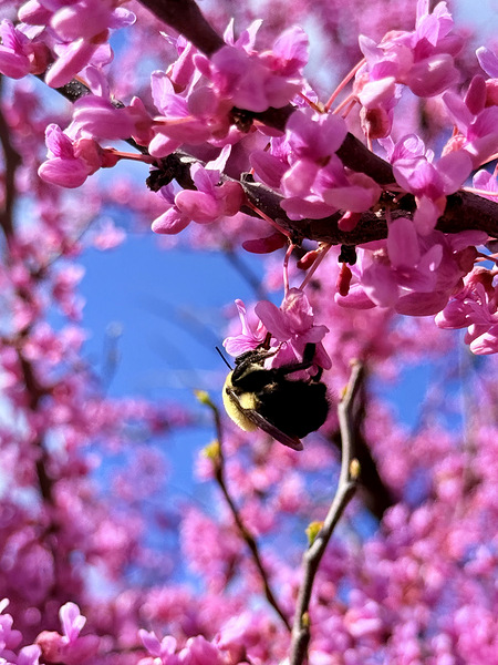 IMG 1648 Téléchargement Numérique