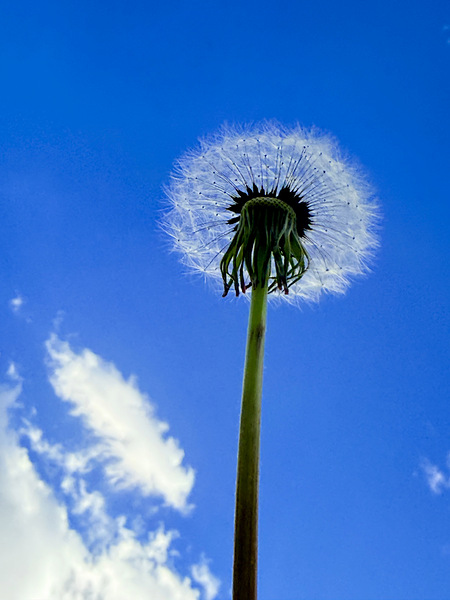 IMG 1764 Téléchargement Numérique
