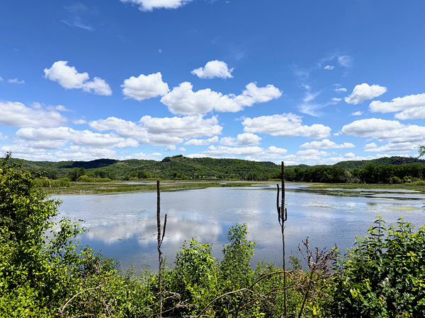Into the Wild Blue Digital Download