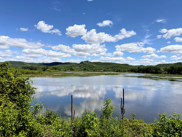 Serenity on the Surface Digital Download