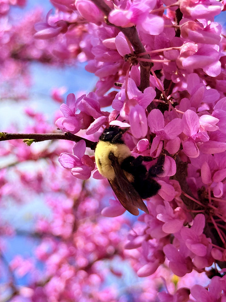 IMG 1671 Digital Download