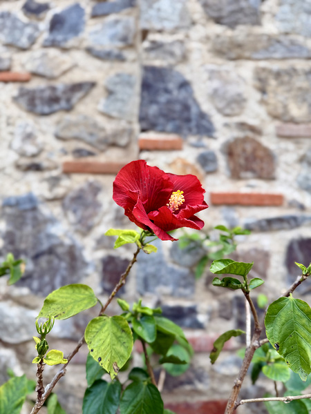 IMG 9956 Digital Download