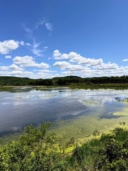 Sky Echoes Digital Download