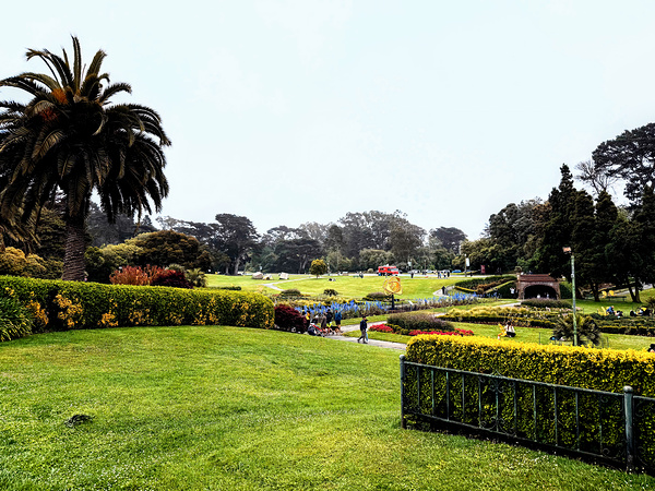 Civic Eden: The Park Awakens Digital Download