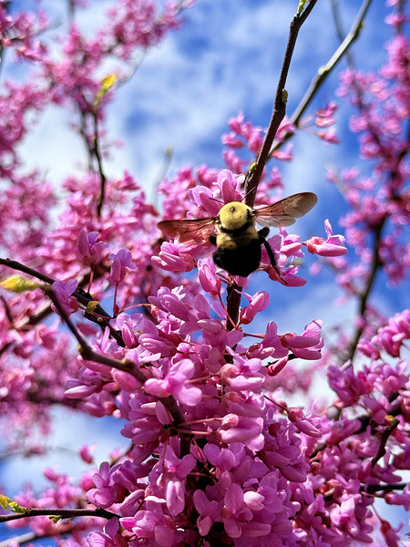 IMG 1683 Digital Download