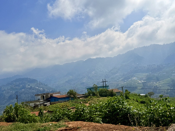 IMG 9268 Téléchargement Numérique