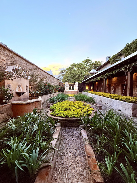 IMG 9974 Digital Download