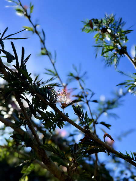 IMG 0029 Digital Download