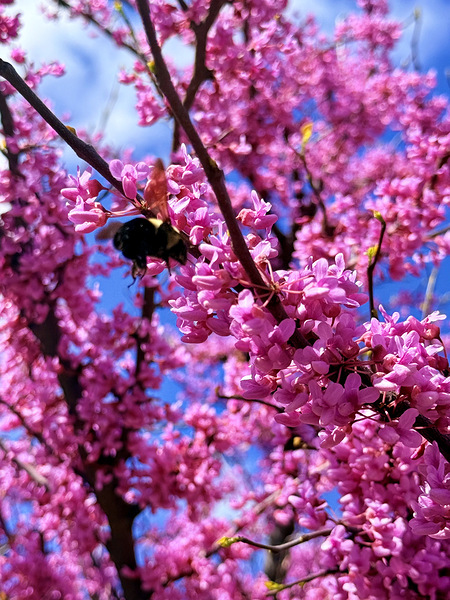 IMG 1659 Téléchargement Numérique