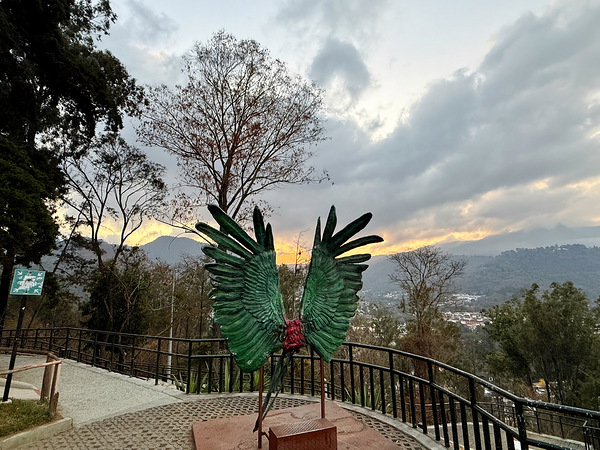 IMG 0467 Téléchargement Numérique