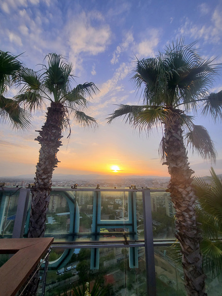 Tropic Stillness Above the Noise Digital Download