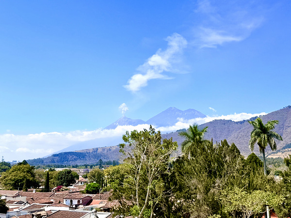 IMG 0160 Digital Download