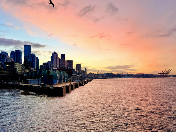 IMG 7956 Digital Download