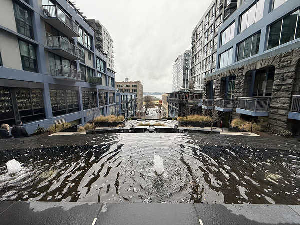 IMG 8438 Digital Download