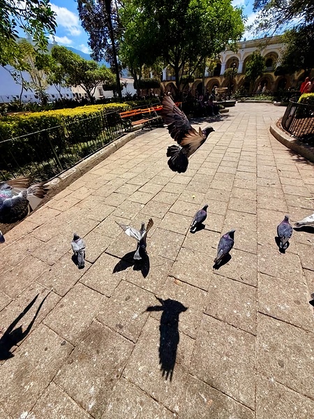 IMG 0279 Digital Download