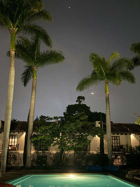 IMG 0441 Digital Download