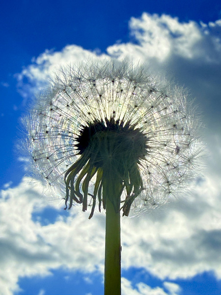 IMG 1740 Téléchargement Numérique