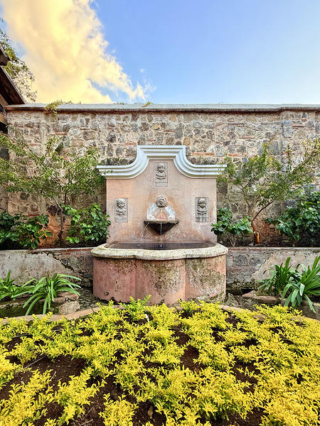 IMG 9960 Digital Download