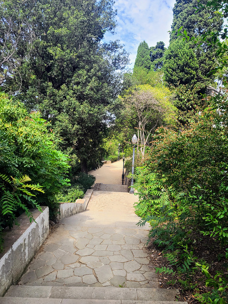 The Pause in the Path Digital Download