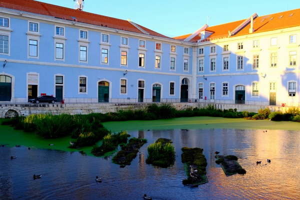 Walking through Lisbon 3 Téléchargement Numérique
